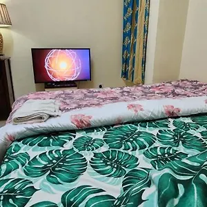 https://exotic-land.abudhabi-hotels-ae.net